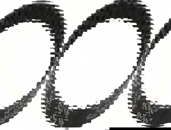 Timing Belt: Section XL